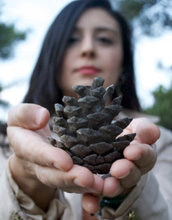 Student holding pinecone